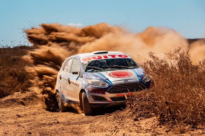 image preview(placeholder)