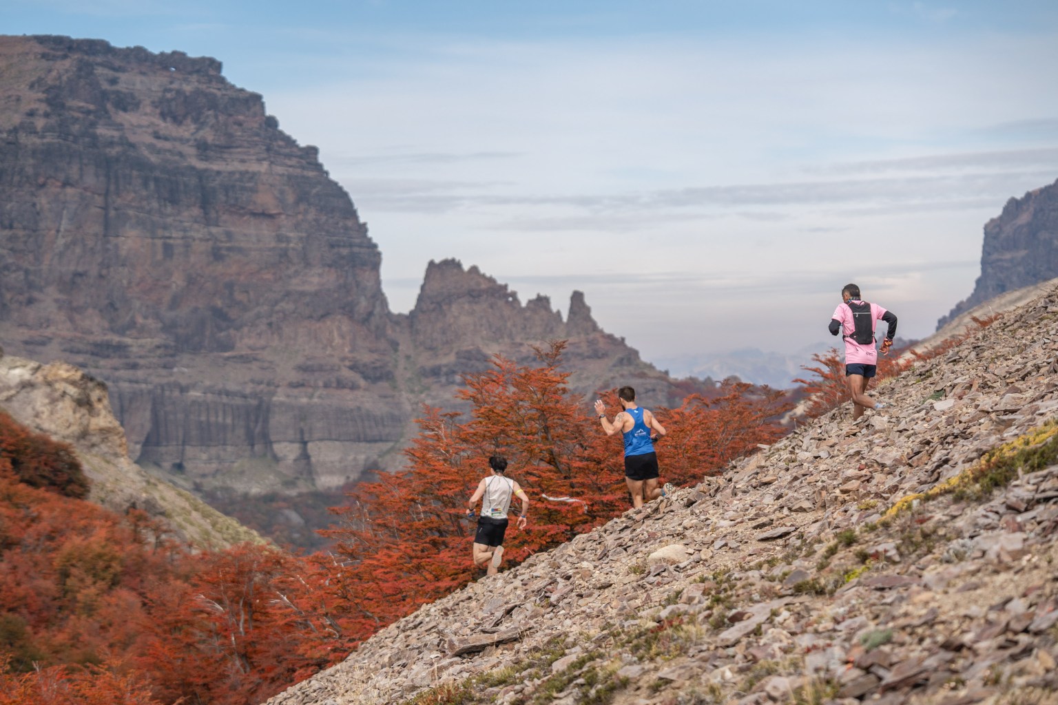 image preview(placeholder)