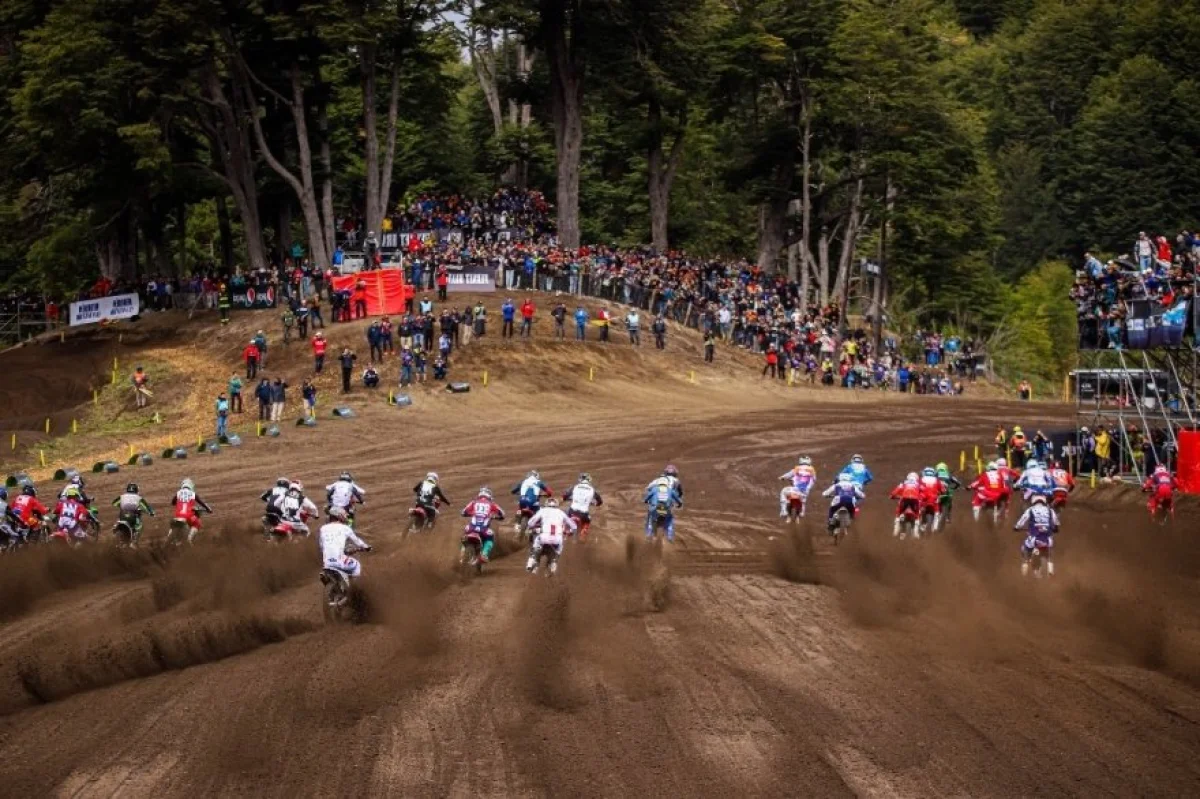 image preview(placeholder)